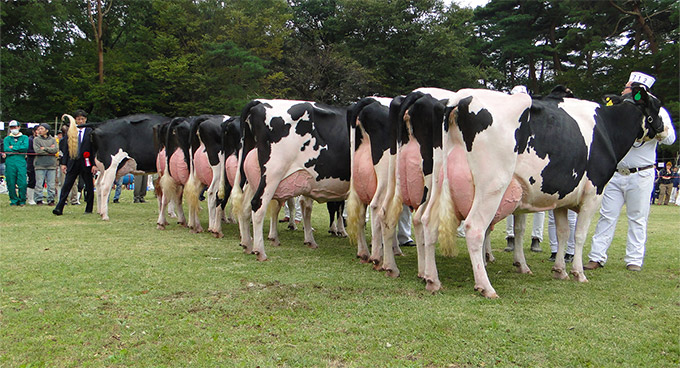 2016年の会場風景 04