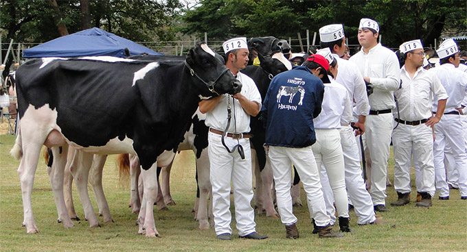 2017年の会場風景 06