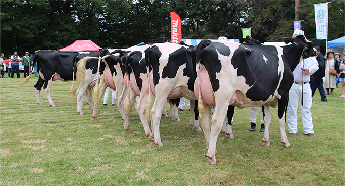 2018年の会場風景 02