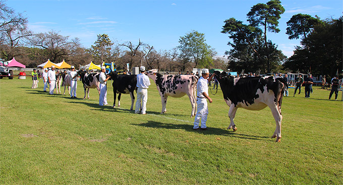 2023年の会場風景 06