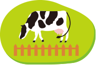 粗飼料と濃厚飼料をバランスよく与えています。