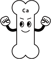 牛乳はカルシウムの身体への吸収率が優れています。