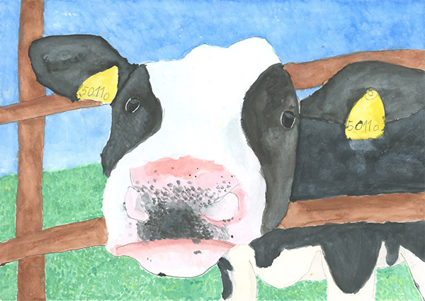 優良賞 中山貴登さん